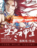 无尽神皇小说阅读