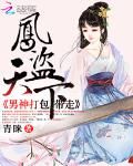 凤盗天下：男神打包带走
