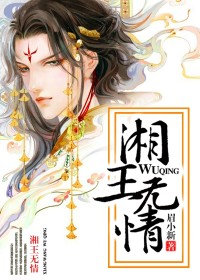 湘王无情小说阅读