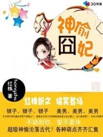 神偷囧妃小说阅读