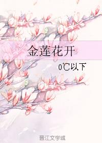 金莲花开小说阅读