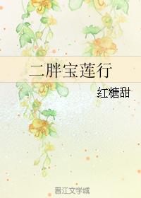 二胖宝莲行小说阅读