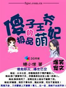 傻子王爷的极品萌妃小说阅读