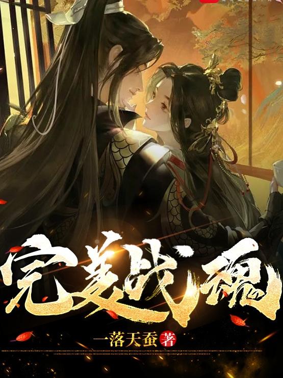完美战魂小说阅读