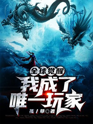 全球觉醒：我成了唯一玩家小说阅读