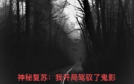 神秘复苏：我开局驾驭了鬼影小说阅读