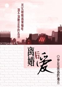 离婚后爱小说阅读