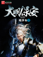 大明保安小说阅读