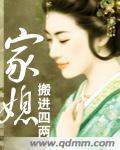 家媳小说阅读