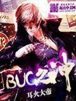 bug之神小说阅读