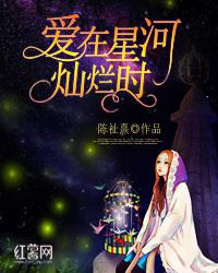 爱在星河灿烂时小说阅读