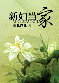 新妇当家小说阅读