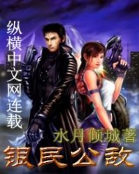 银民公敌小说阅读