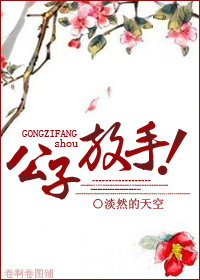 公子放手小说阅读