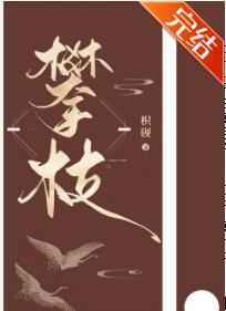 我攀上了失忆世子的高枝小说阅读