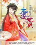 妻贵小说阅读