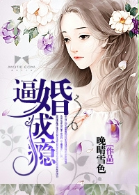 逼婚成瘾小说阅读