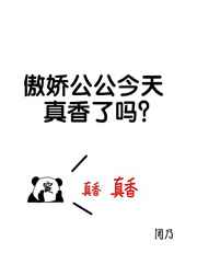 窦公公的小傻子小说阅读