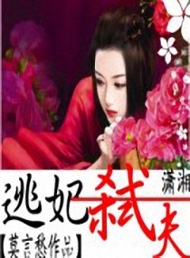 逃妃弑夫小说阅读