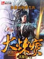 大炼宝小说阅读