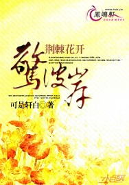 荆刺花开，惊彼岸小说阅读