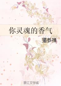 你灵魂的香气小说阅读