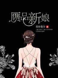 赝品新娘小说阅读