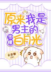 原来我是男主的作精白月光小说阅读