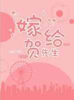 嫁给贺先生小说阅读
