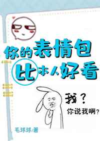 你的表情包比本人好看小说阅读