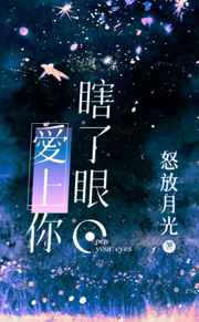 瞎了眼，爱上你小说阅读
