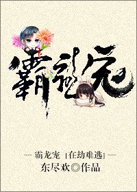 霸龙宠小说阅读