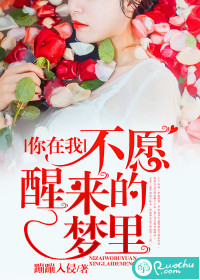 你在我不愿醒来的梦里小说阅读