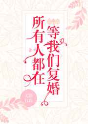 所有人都在等我们复婚小说阅读