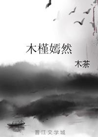 木槿嫣然小说阅读