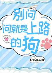 乖，我到碗里去小说阅读