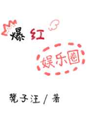 爆红娱乐圈小说阅读