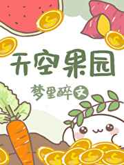 天空果园小说阅读