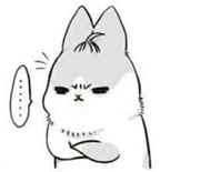 我真的不是公主