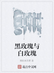 黑玫瑰与白玫瑰小说阅读