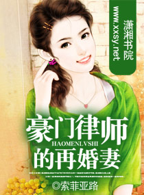 豪门律师的再婚妻