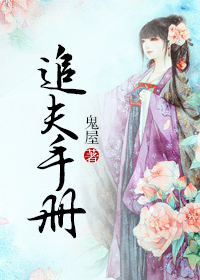 追夫手册小说阅读