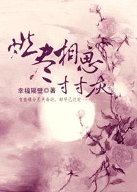 燃尽相思寸寸灰