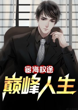 宦海权途：巅峰人生小说阅读