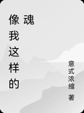 像我这样的魂小说阅读