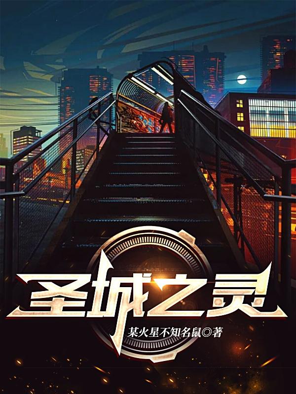 圣城之灵小说阅读