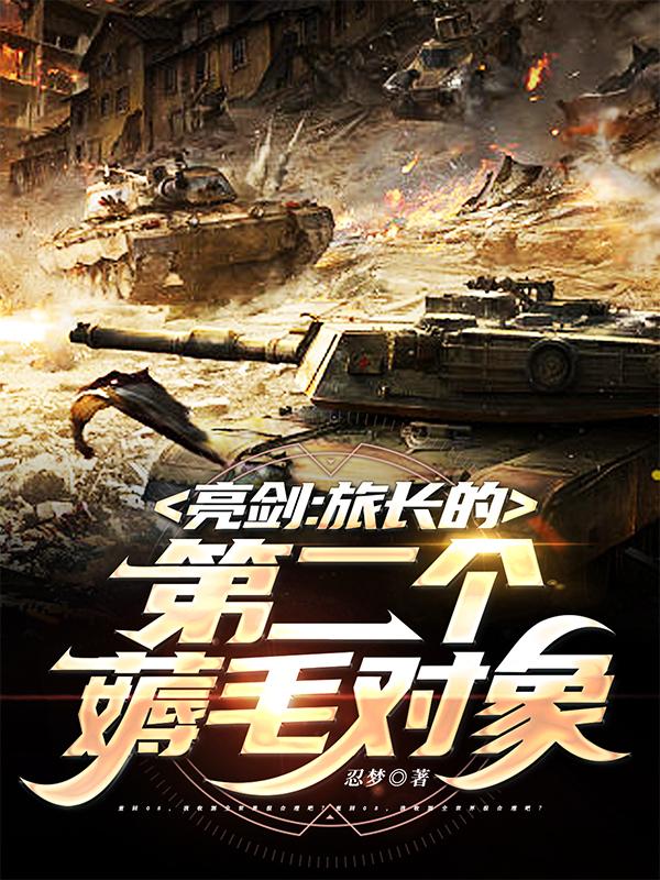 亮剑：旅长的第二个薅毛对象小说阅读