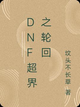 dnf超界之轮回小说阅读