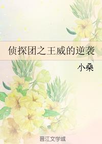 侦探团之王威的逆袭