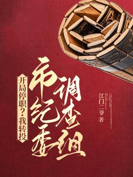 开局停职？我转投市纪委调查组小说阅读